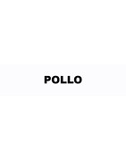 Pollo